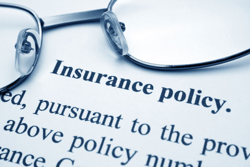 Optimal Insurance for Your Life