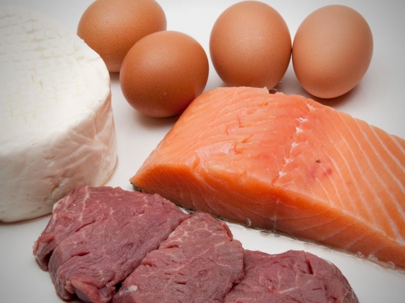 How Much Protein Can Your Body Properly Digest and Use in One Sitting?